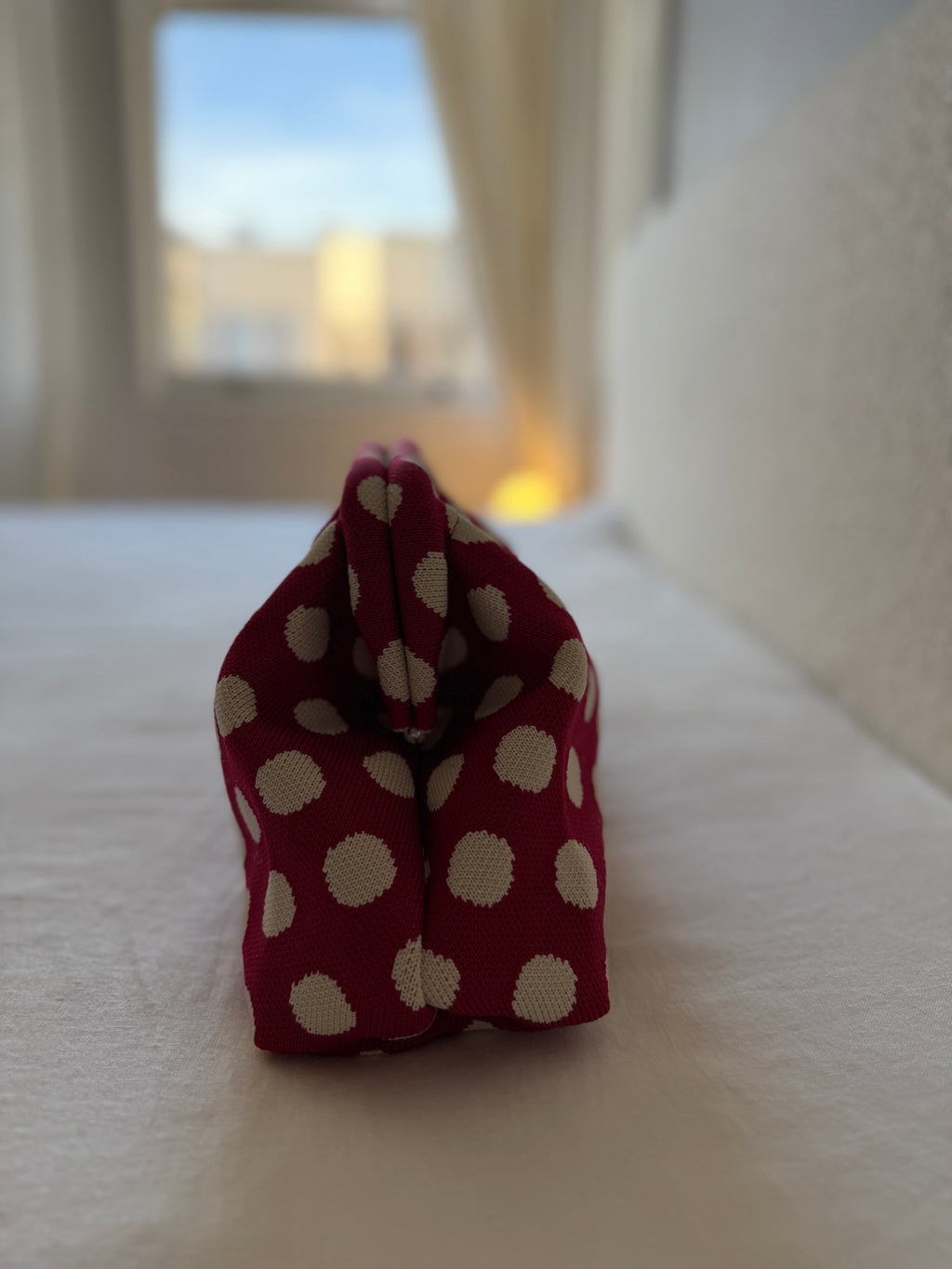 Ladybug